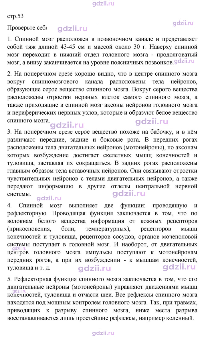 Скан решения номера 53