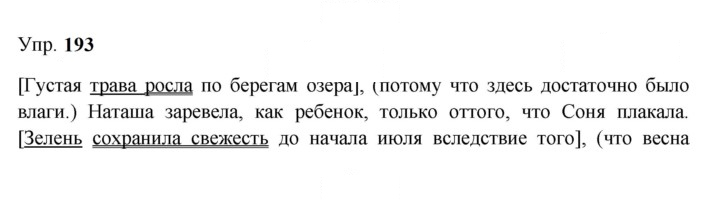 Скан решения номера 193