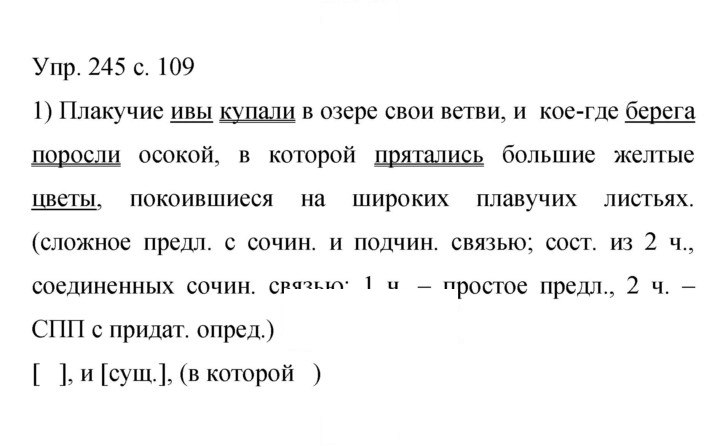 Скан решения номера 245