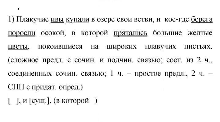 Скан решения номера 291
