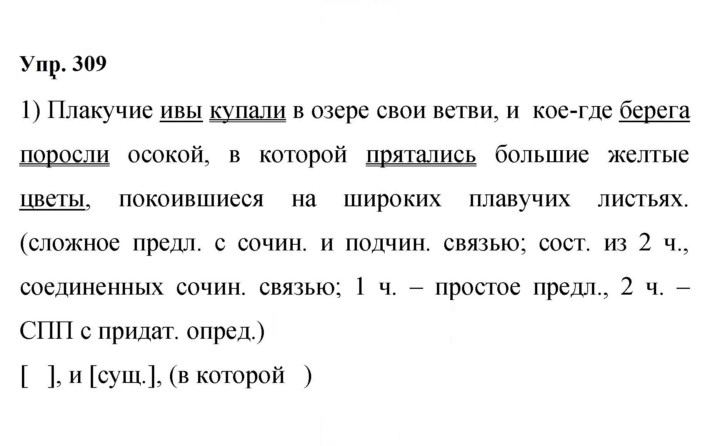 Скан решения номера 309